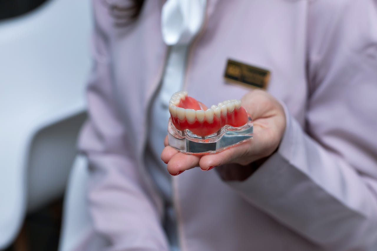 Home Dentist in lab coat holding a dental model indoors for patient education.
